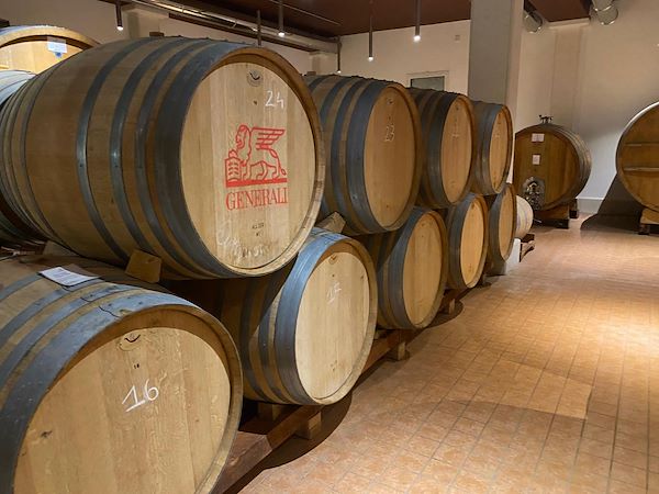 Vittoria nel contest Area 3 Riforme Danni