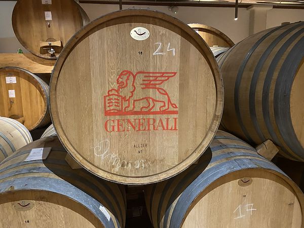 Vittoria nel contest Area 3 Riforme Danni