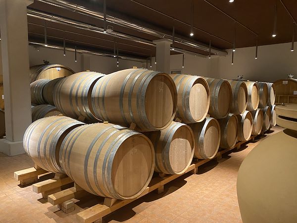 Vittoria nel contest Area 3 Riforme Danni