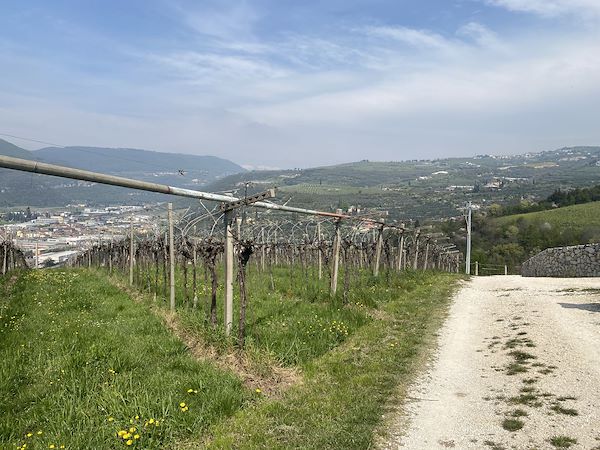 Vittoria nel contest Area 3 Riforme Danni